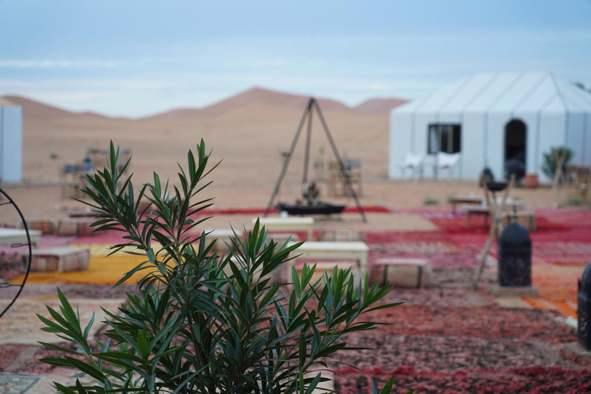 Готель Luxury Berber Style Мерзуга Екстер'єр фото
